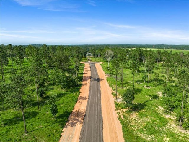 142 Dove Hill Circle, Livingston, TX 77351