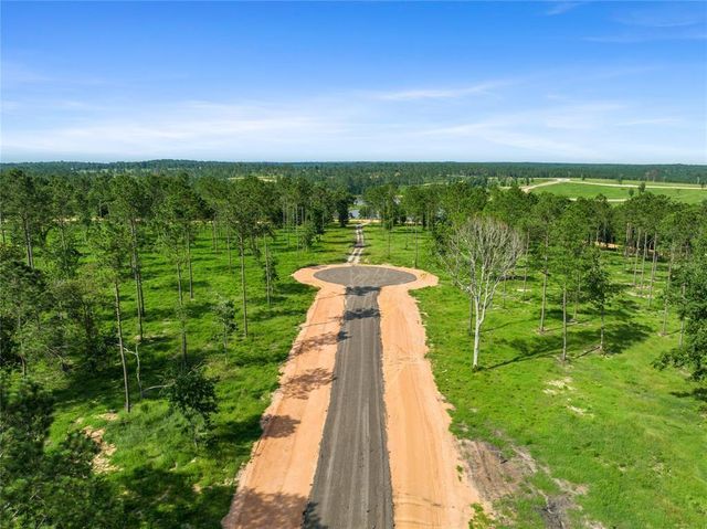 142 Dove Hill Circle, Livingston, TX 77351
