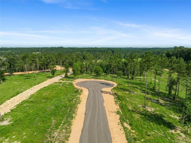 142 Dove Hill Circle, Livingston, TX 77351