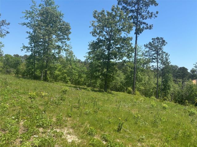 142 Dove Hill Circle, Livingston, TX 77351
