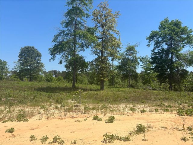 142 Dove Hill Circle, Livingston, TX 77351