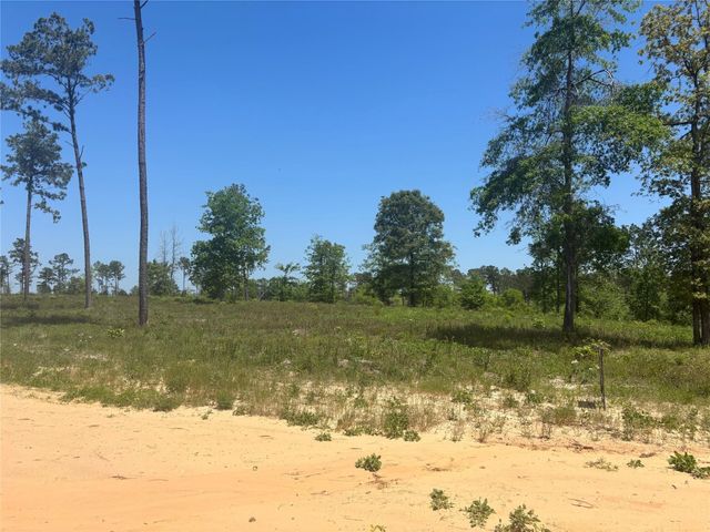 142 Dove Hill Circle, Livingston, TX 77351
