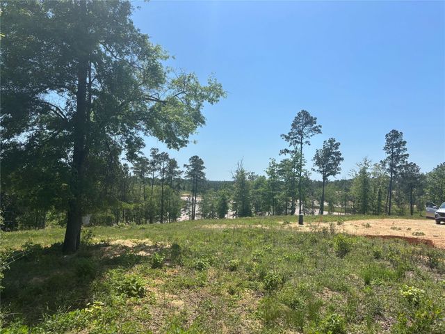 142 Dove Hill Circle, Livingston, TX 77351