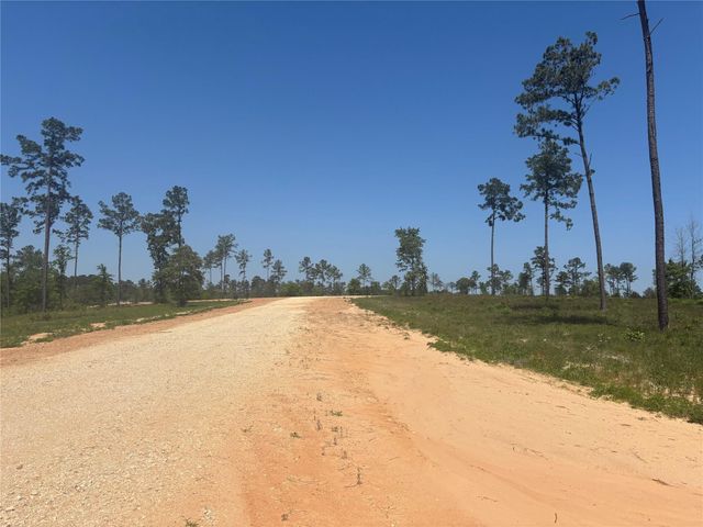 142 Dove Hill Circle, Livingston, TX 77351