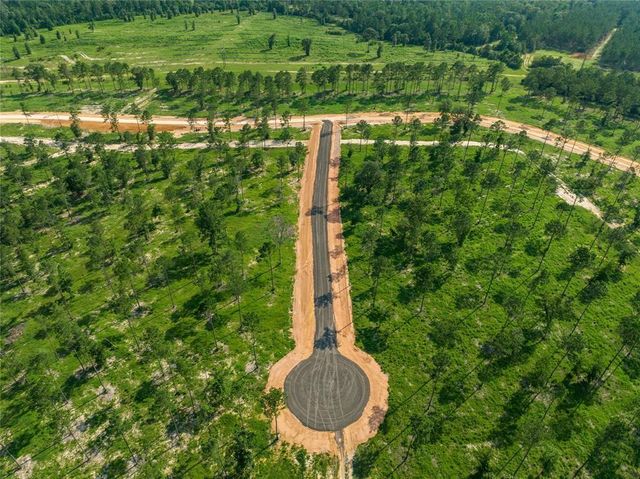 142 Dove Hill Circle, Livingston, TX 77351