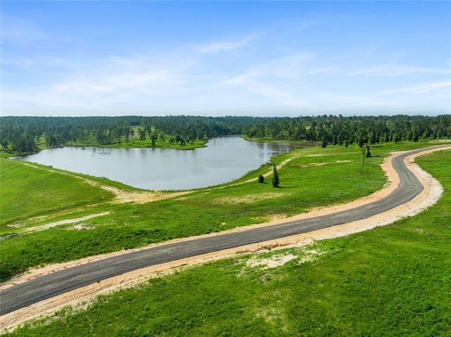 142 Dove Hill Circle, Livingston, TX 77351