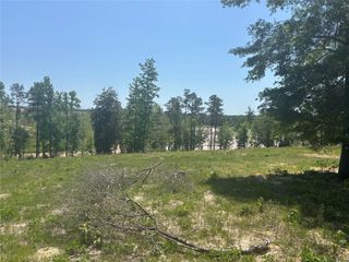 142 Dove Hill Circle, Livingston, TX 77351