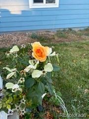 6405 Hollyhock Green 62, Frederick, CO 80530
