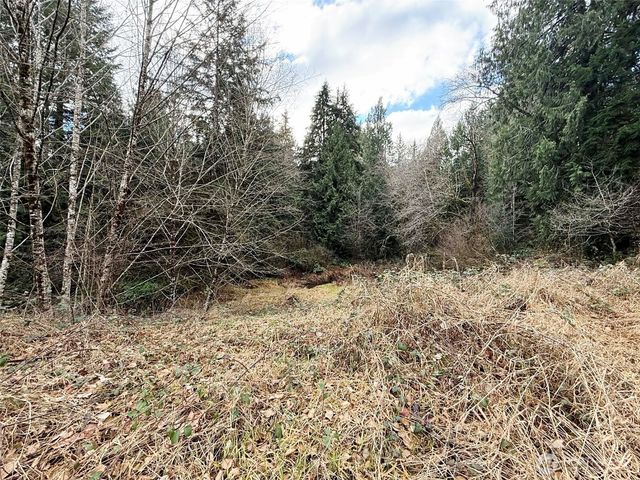 128 South Union Road, Elma, WA 98541