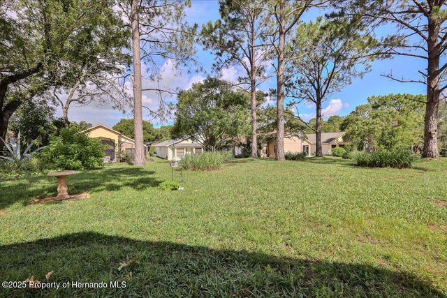 11409 Deercroft Court, Spring Hill, FL 34609