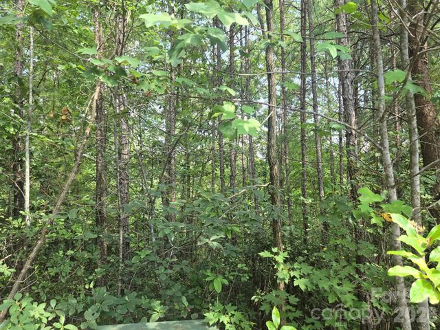 Lot 18 Highland Heights, Lake Lure, NC 28746