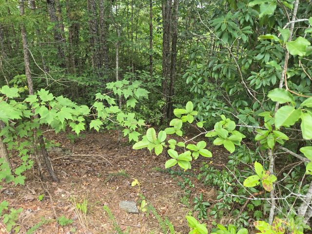 Lot 18 Highland Heights, Lake Lure, NC 28746