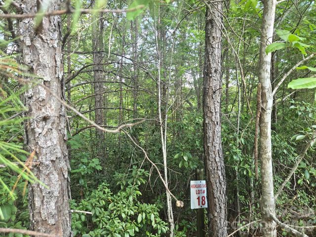 Lot 18 Highland Heights, Lake Lure, NC 28746