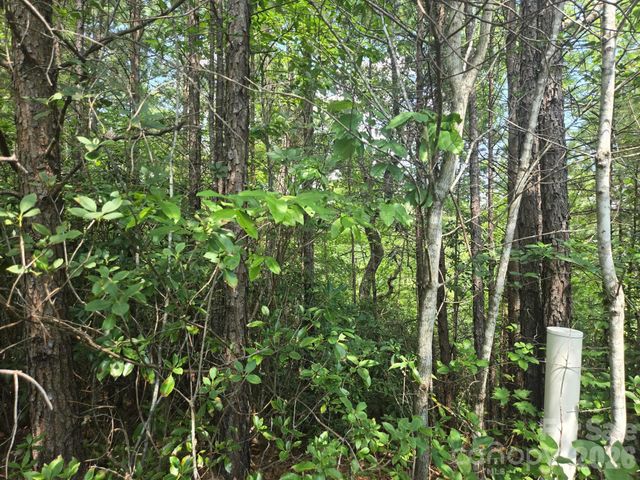 Lot 18 Highland Heights, Lake Lure, NC 28746