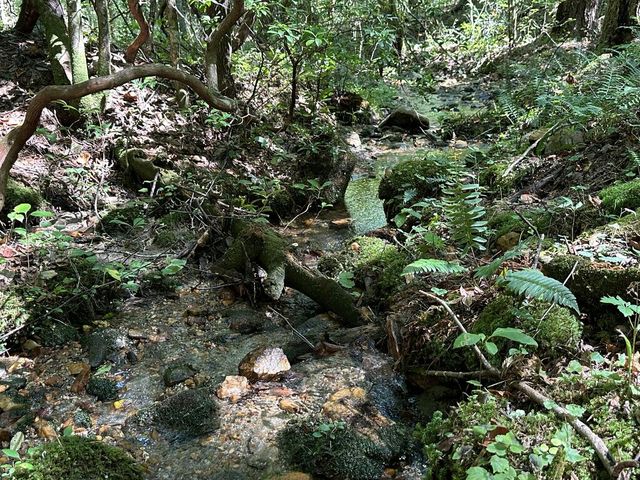5.74 Ac Hardslate Road, Ellijay, GA 30560