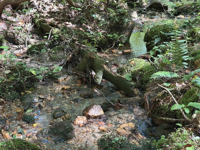 5.74 Ac Hardslate Road, Ellijay, GA 30560