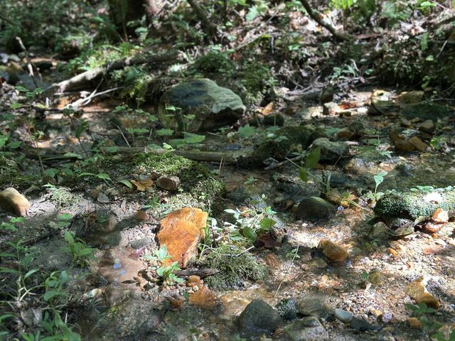 5.74 Ac Hardslate Road, Ellijay, GA 30560