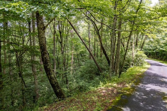 5.74 Ac Hardslate Road, Ellijay, GA 30560