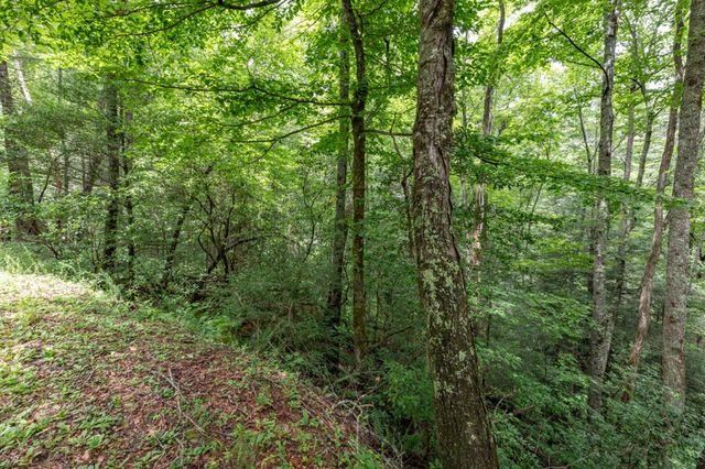 5.74 Ac Hardslate Road, Ellijay, GA 30560