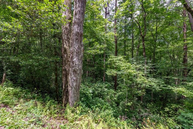 5.74 Ac Hardslate Road, Ellijay, GA 30560