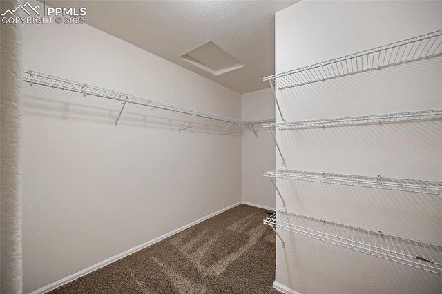 3158 Wild Peregrine View, Colorado Springs, CO 80916