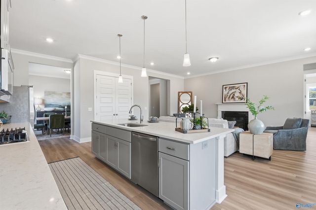 7510 Speckle Belly Boulevard, Owens Cross Roads, AL 35763