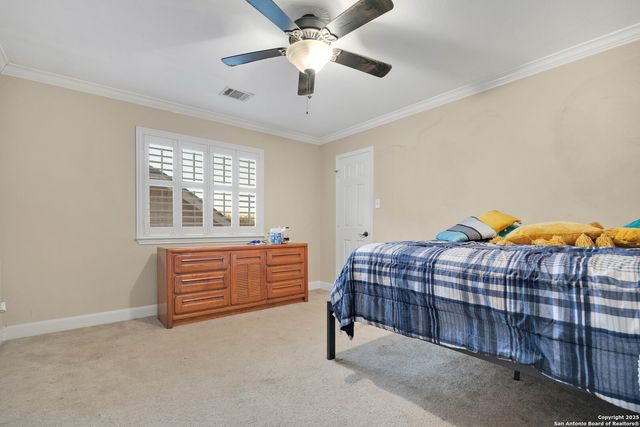 11919 Ocelot Path, San Antonio, TX 78253