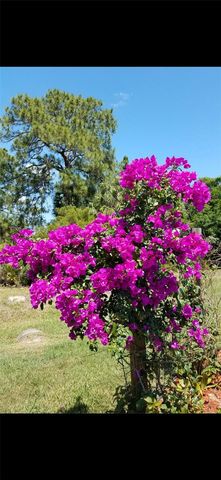 1658 SCARLETT AVENUE, North Port, FL 34289