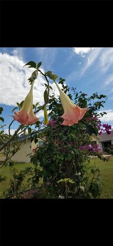 1658 SCARLETT AVENUE, North Port, FL 34289