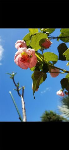 1658 SCARLETT AVENUE, North Port, FL 34289