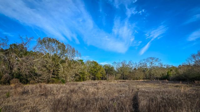 24995 Howser Drive, New Caney, TX 77357