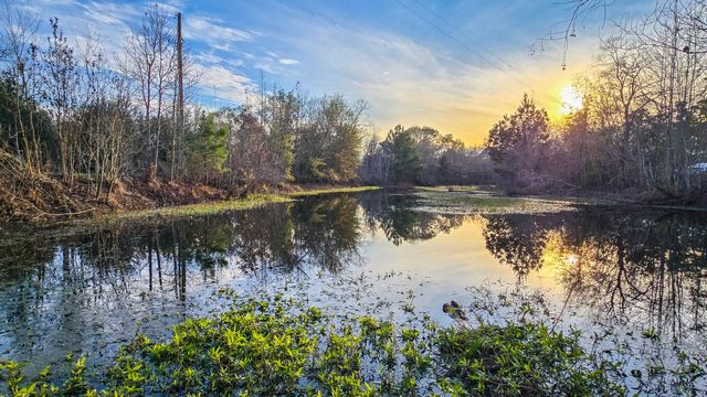 24995 Howser Drive, New Caney, TX 77357