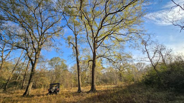 24995 Howser Drive, New Caney, TX 77357