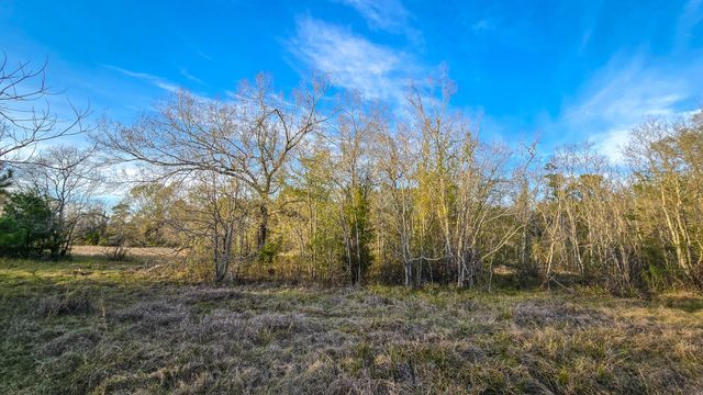 24995 Howser Drive, New Caney, TX 77357