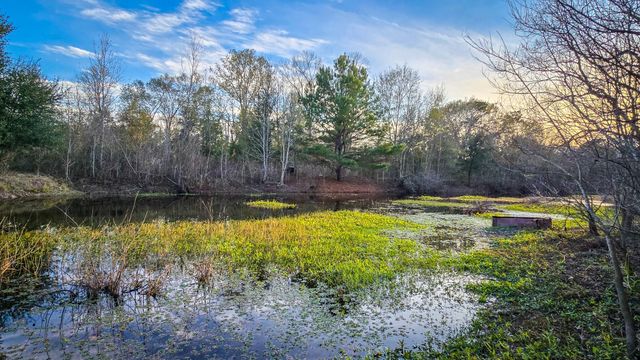 24995 Howser Drive, New Caney, TX 77357