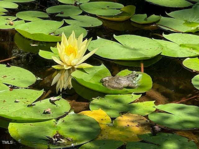 4307 Mystic Lane, Hillsborough, NC 27278