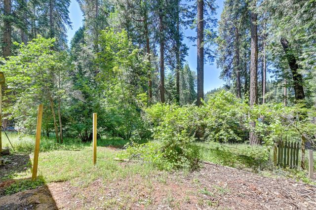 6237 Drop Off R, Pollock Pines, CA 95726
