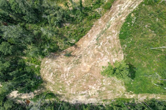 0000 HWY 42, Sumrall, MS 39482