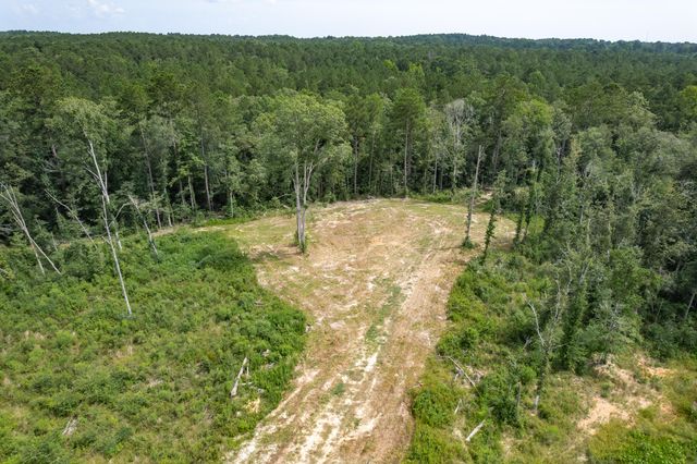 0000 HWY 42, Sumrall, MS 39482