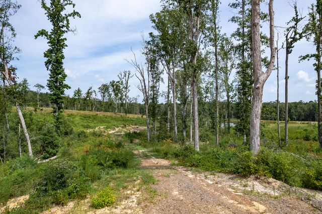 0000 HWY 42, Sumrall, MS 39482