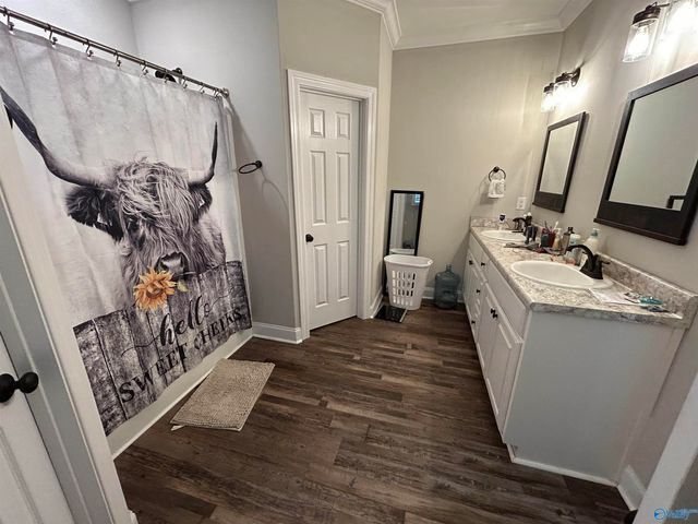 26901 Leslie Lane, Elkmont, AL 35620