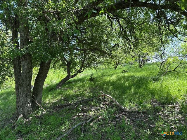 8500 N Fork Road, Bartlett, TX 76511