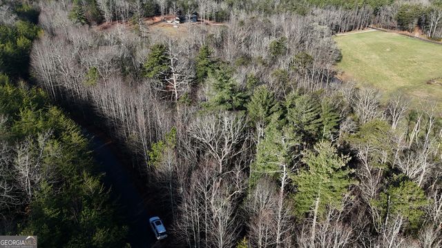 LOT 10 Gold Ditch Road, Cleveland, GA 30528