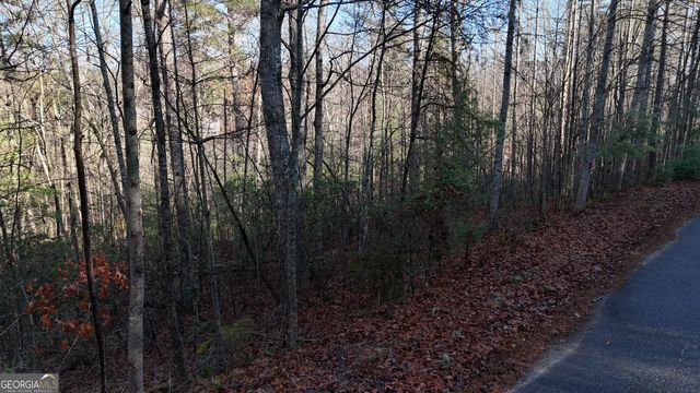 LOT 10 Gold Ditch Road, Cleveland, GA 30528