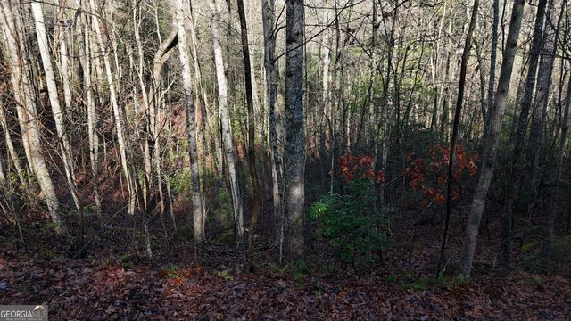 LOT 10 Gold Ditch Road, Cleveland, GA 30528