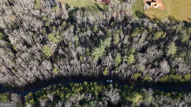 LOT 10 Gold Ditch Road, Cleveland, GA 30528