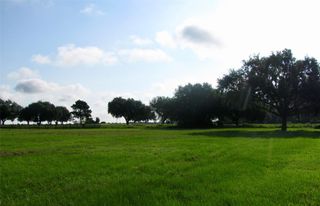 340 Mavanelle Cove, Hempstead, TX 77445