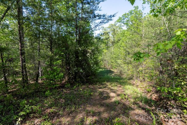 99999 Shady Bark Lane 41, Rutherfordton, NC 28139