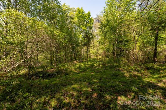 99999 Shady Bark Lane 41, Rutherfordton, NC 28139