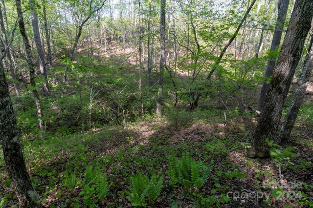 99999 Shady Bark Lane 41, Rutherfordton, NC 28139